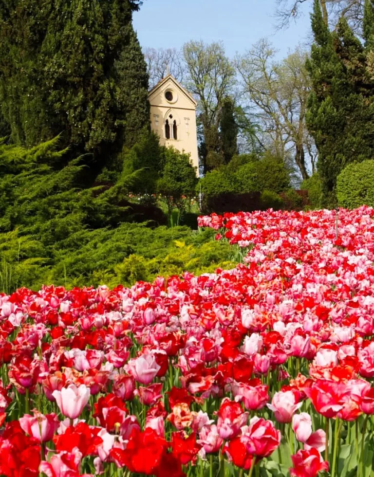 Biglietti scontati Giardino Sigurtà